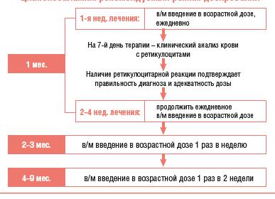 Диагностика в12 дефицитной анемии