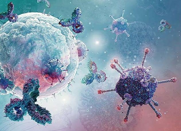 Что показывают моноциты в анализе крови