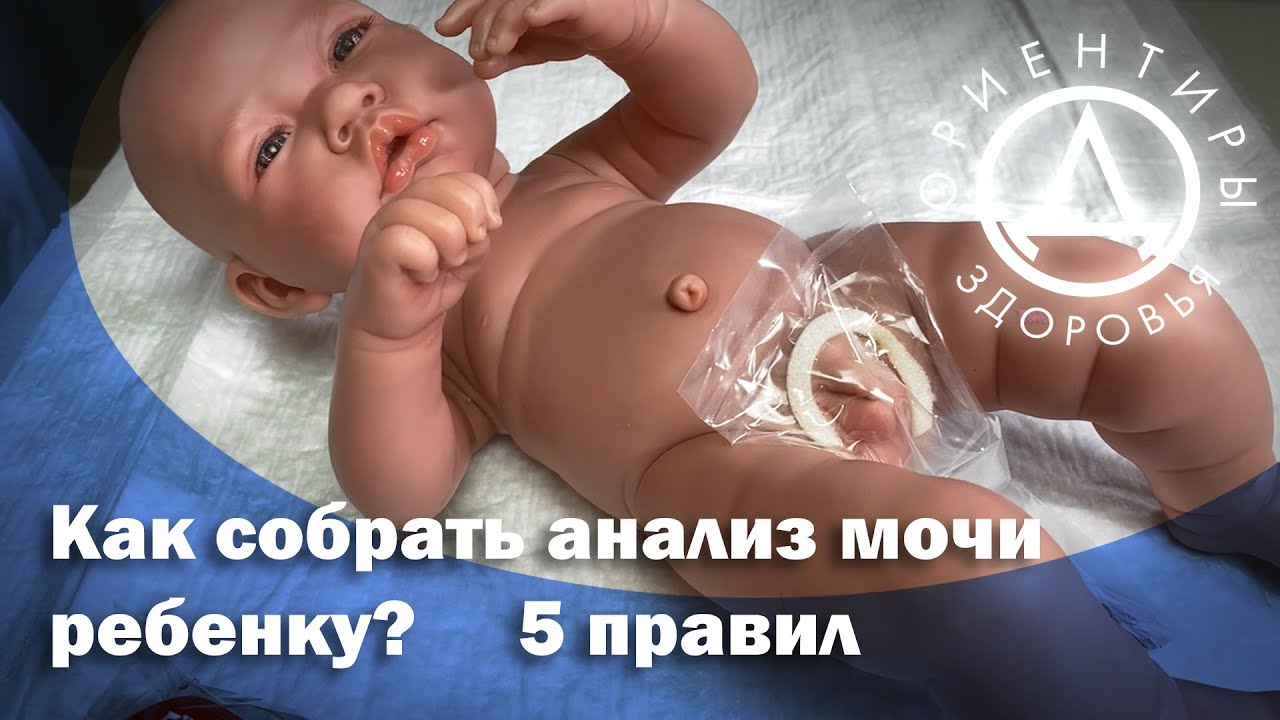Как у младенца взять анализ мочи