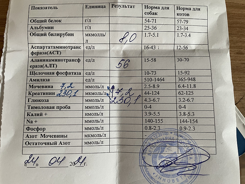 Креатинин и мочевина