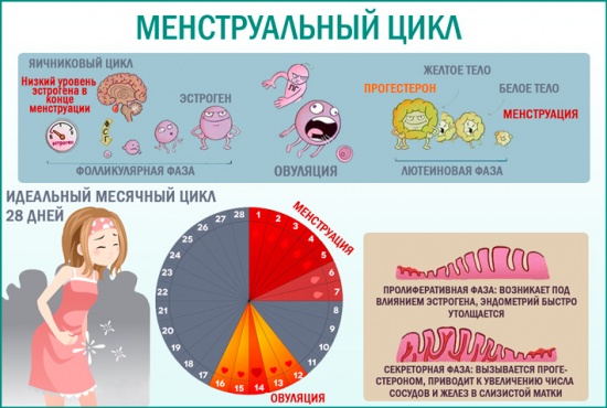 Месячные не идут а мажут почему