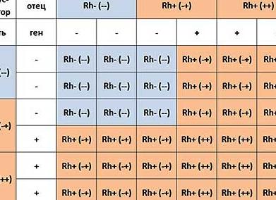 Группа крови у ребенка от родителей таблица с резус фактором