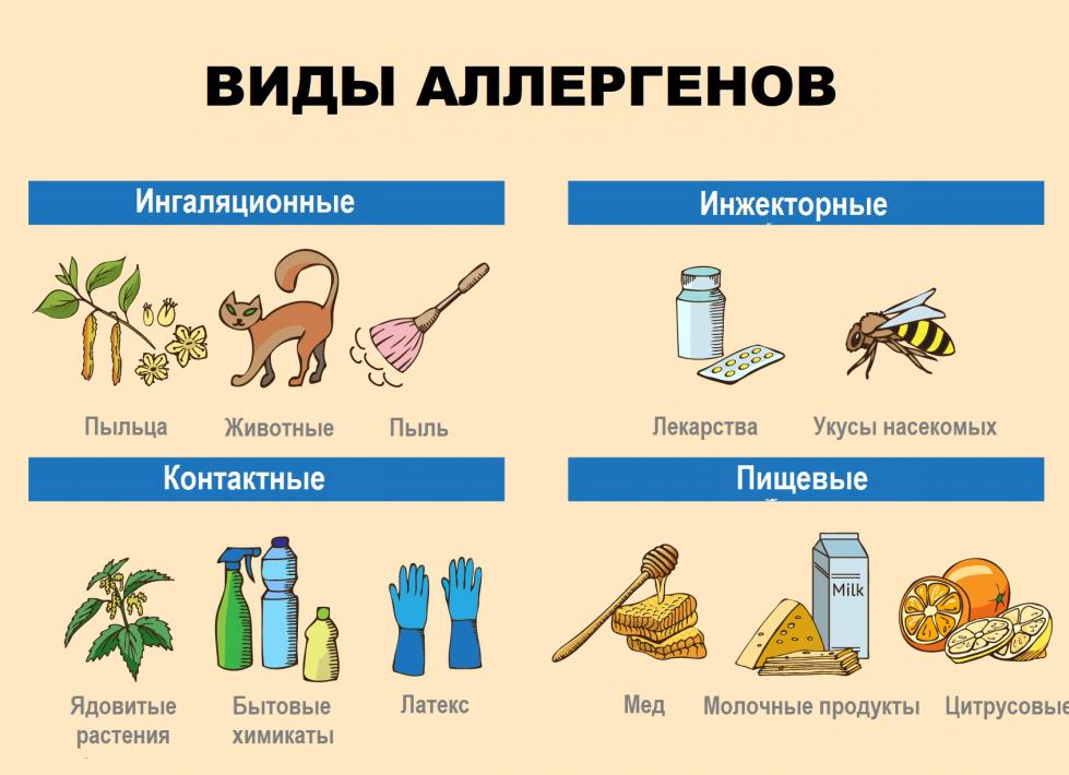 Что повышается в крови при аллергии