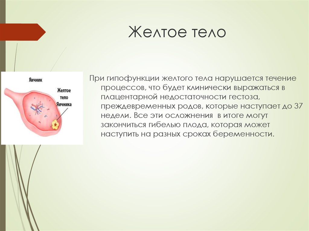 Гипофункция желтого тела