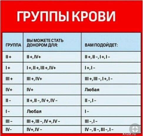 Какой группе крови подходит любая