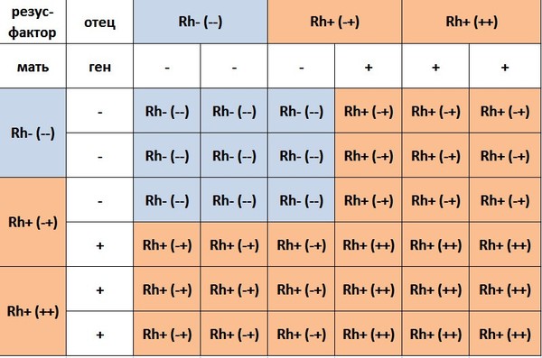 Может ли быть положительный резус если у родителей отрицательный