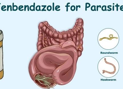 Кровь на паразитов у детей