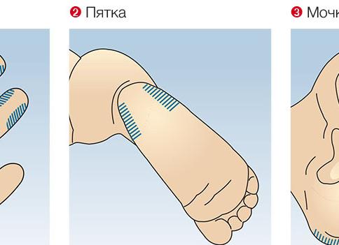 Капиллярная кровь откуда берется