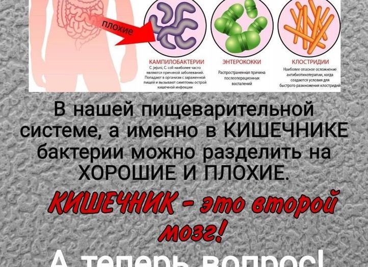 Какое значение в свертывании крови имеет тромбин