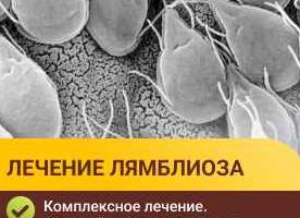 Диагностика лямблиоза у взрослых