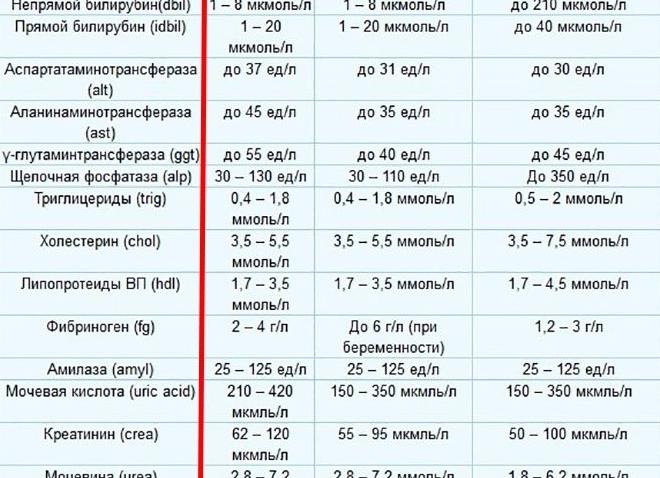 Анализ крови расшифровка норма биохимический
