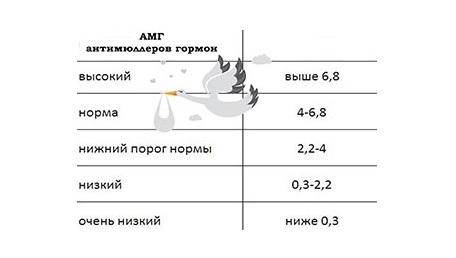 Амг гормон что это такое у женщин