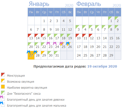 Как формируется пол ребенка