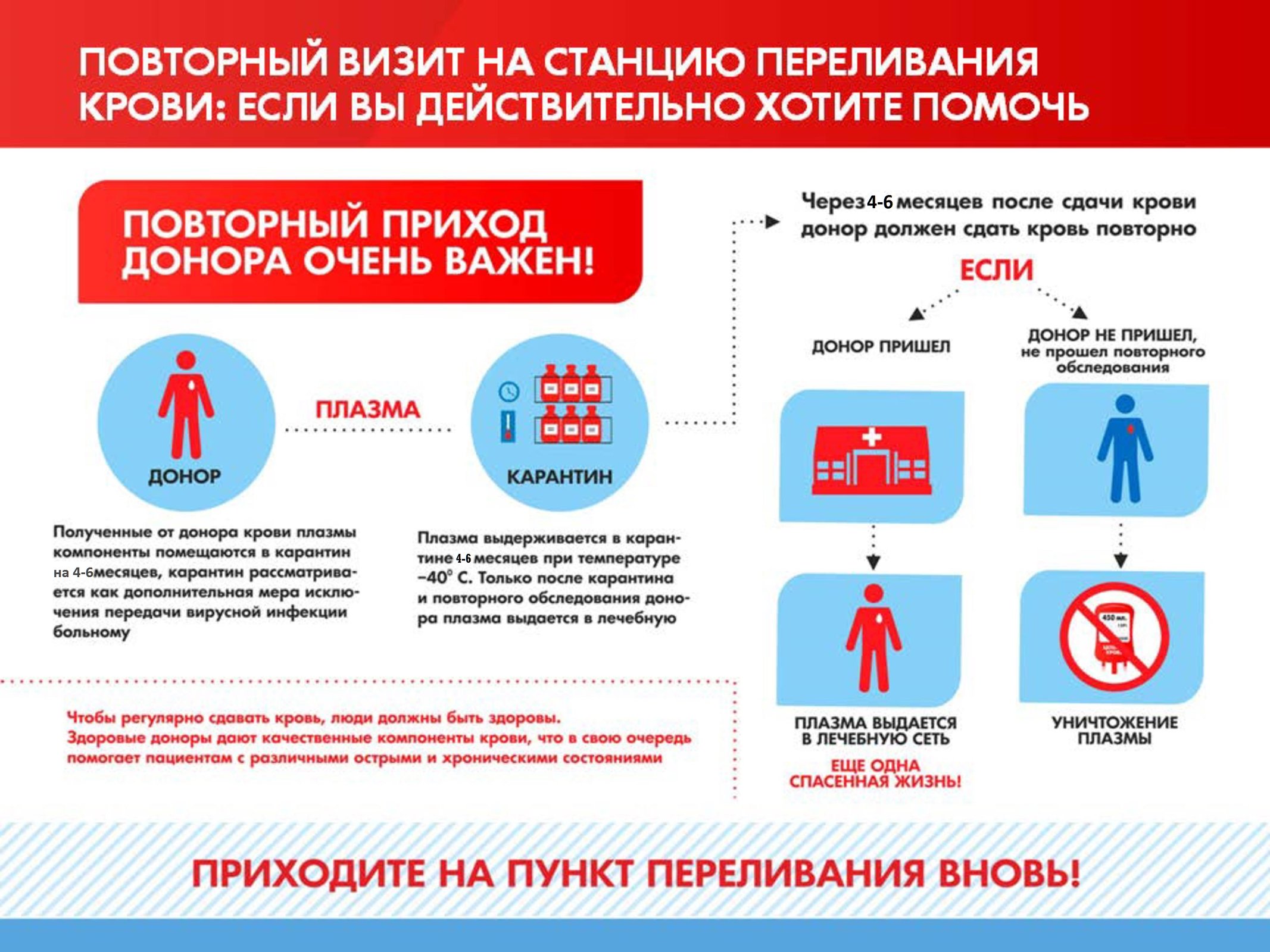 Как сдать плазму крови