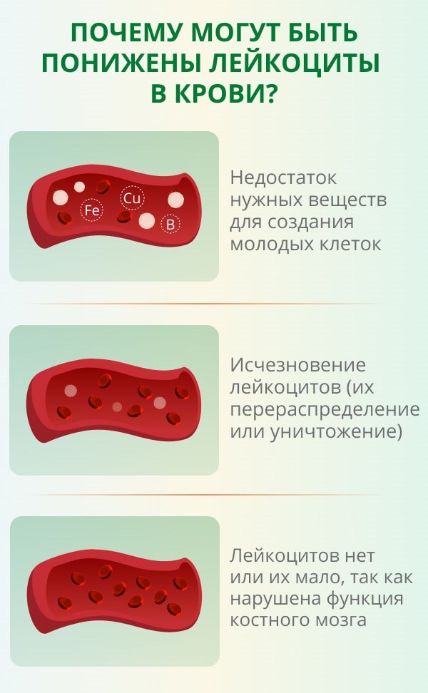 Лейкоциты в крови понижены у женщин причины