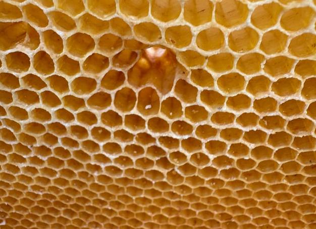 Белые вкрапления в кале у взрослого