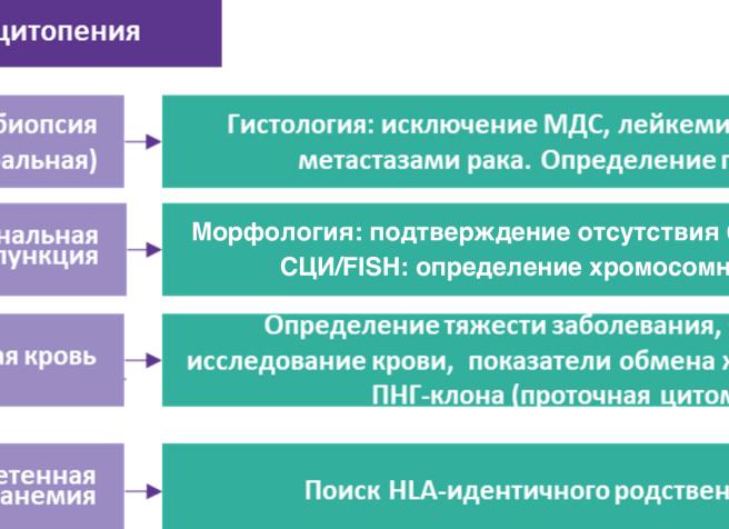 Апластическая анемия диагностика