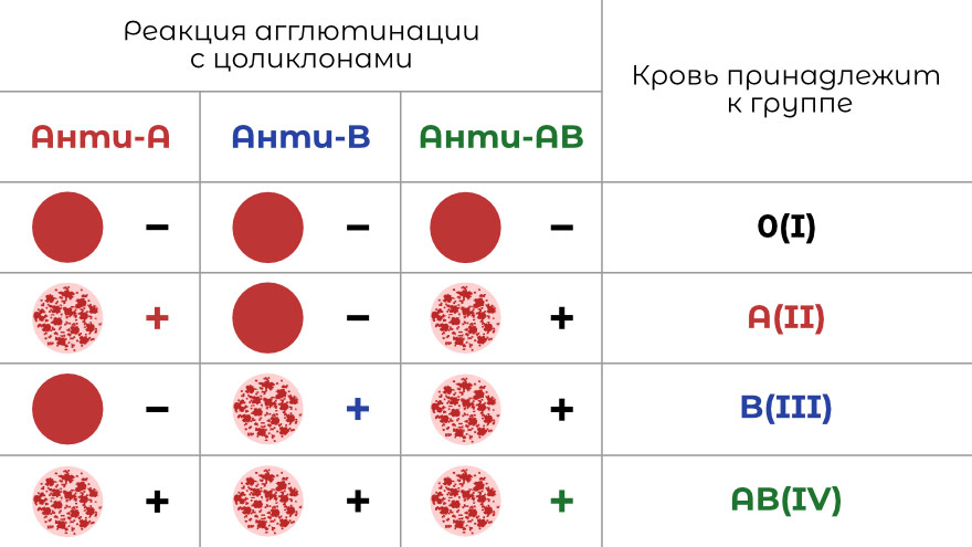 Как определить группу крови и резус фактор