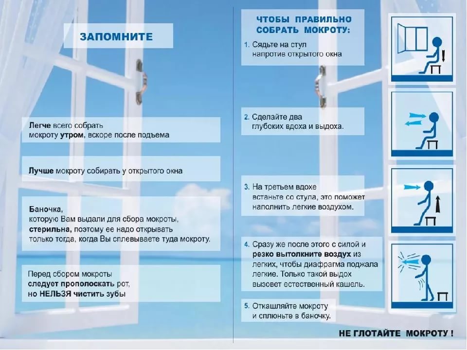 Как собрать мокроту если нет кашля