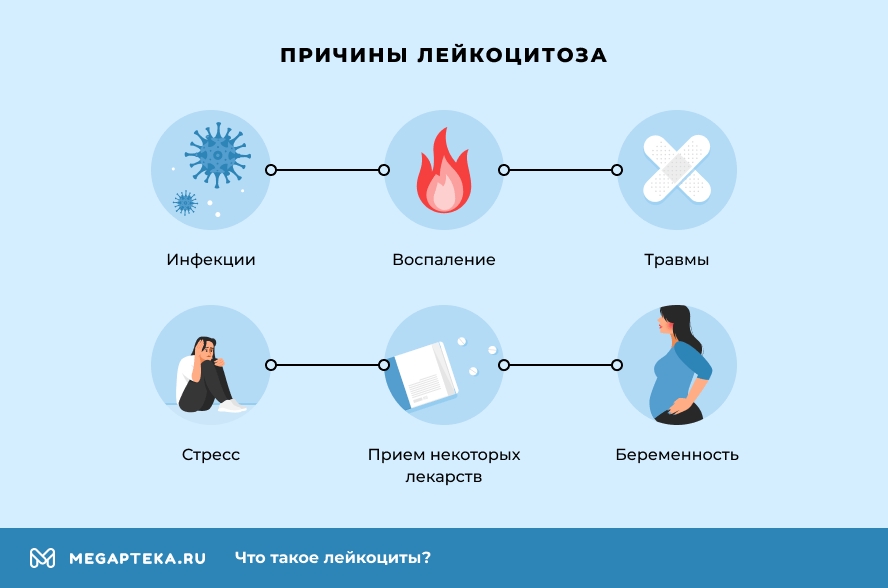 Лейкоциты повышены у мужчины в моче причины