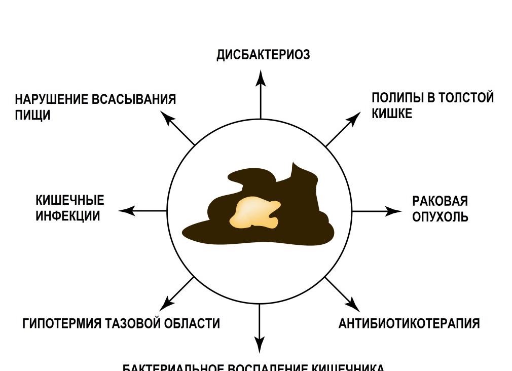 Белое в кале у взрослого
