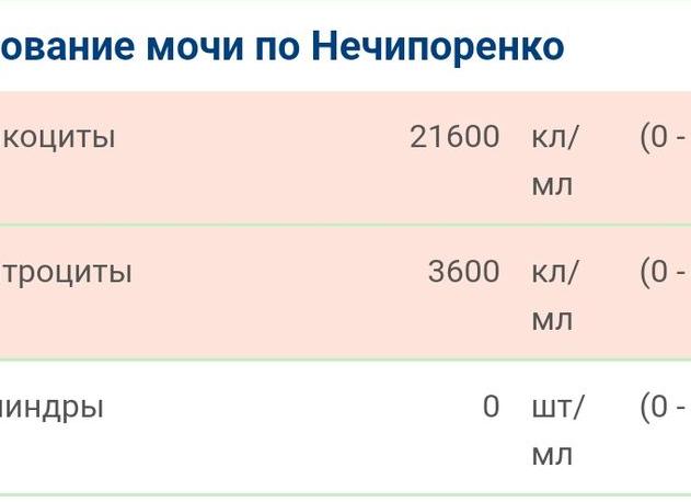 Анализ мочи по нечипоренко плохой Анализ мочи по нечипоренко плохой