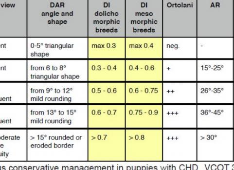 Ацетабулярные углы норма таблица
