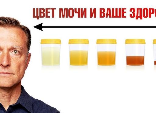 Каким цветом должна быть моча у здорового человека