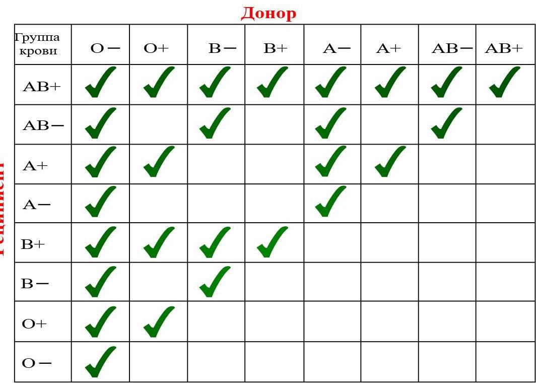 Группы крови какие подходят друг другу