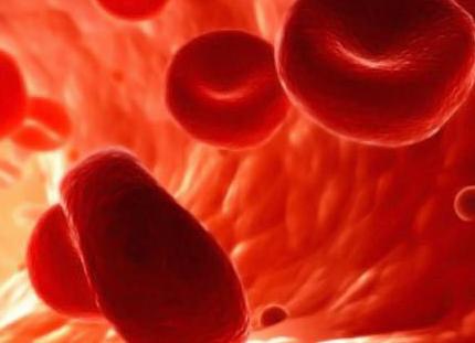 Гемостазиограмма как правильно сдавать