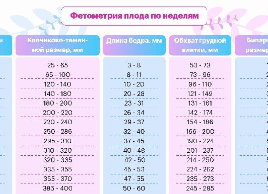 Бипариетальный размер головы по неделям
