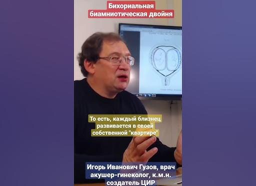 Бихориальная биамниотическая двойня что это