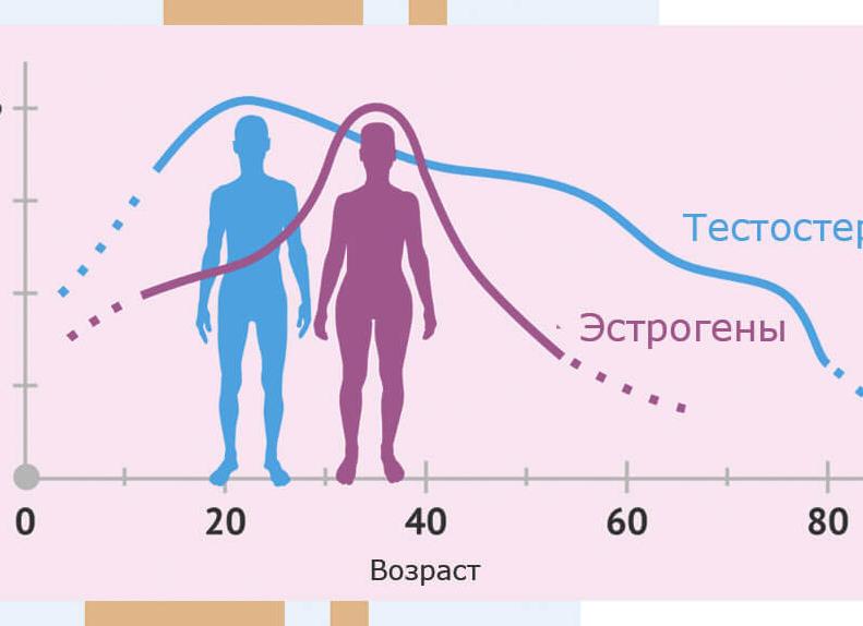 Анализ на эстрадиол у женщин Анализ на эстрадиол у женщин