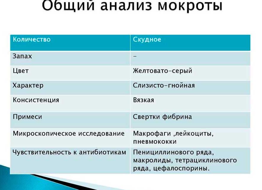Анализ мокроты норма