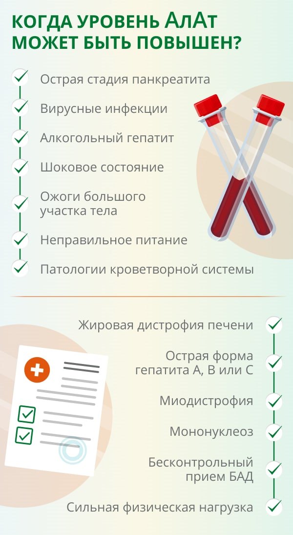 Аланинаминотрансфераза повышена что это значит