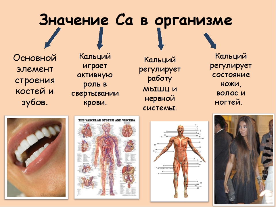 Как понять что в организме не хватает кальция