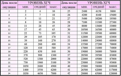 Как повышается хгч по дням