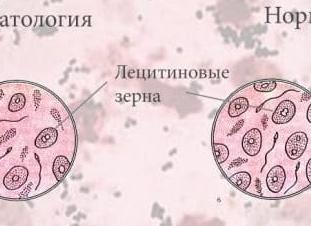 Лецитиновые зерна что это