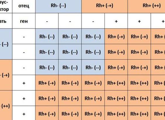 Кровь на группу крови и резус фактор