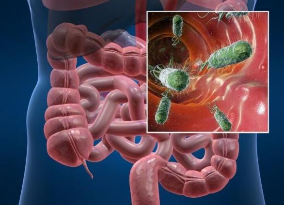 Кал на ротавирус