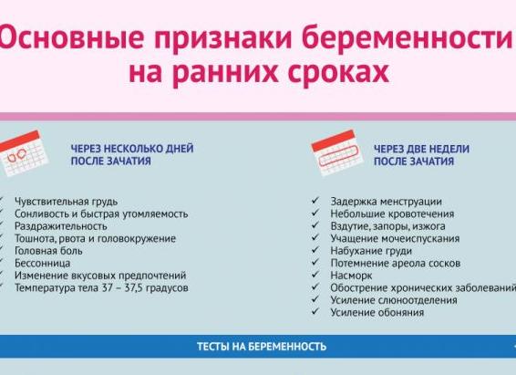 Как узнать на раннем сроке что двойня