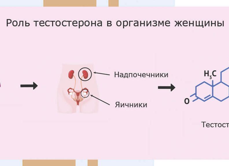 Как увеличить тестостерон в организме женщины