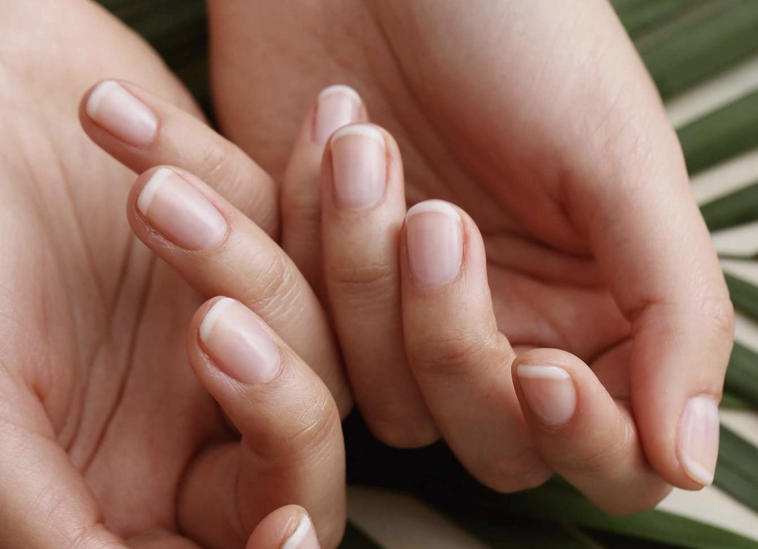 Как проверить состояние сосудов организма Как проверить состояние сосудов организма