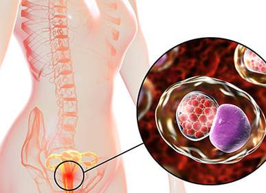 Хламидии в крови что это