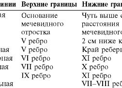 Границы печени в норме
