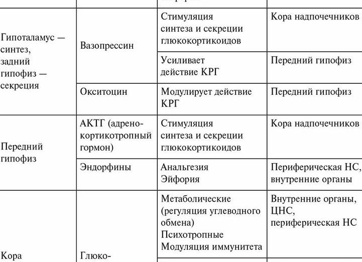 Гормоны человека и их функции таблица
