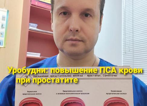 Что такое в урологии пса