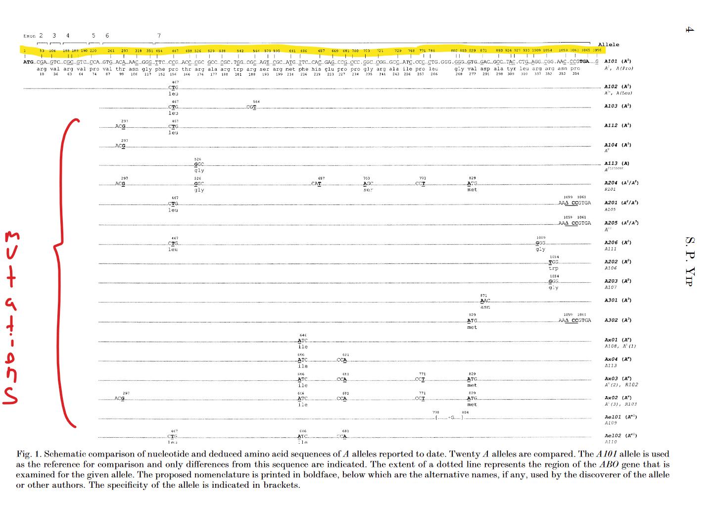 Атг анализ крови что это
