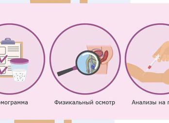 Анализы перед эко для женщины Анализы перед эко для женщины