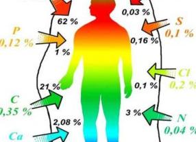Анализ на содержание микроэлементов и витаминов в организме